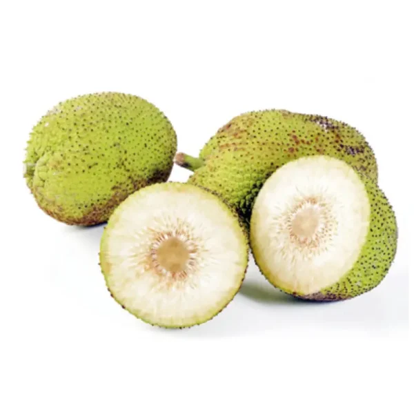 Del bread fruit