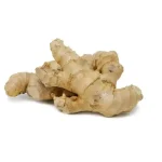 Ginger