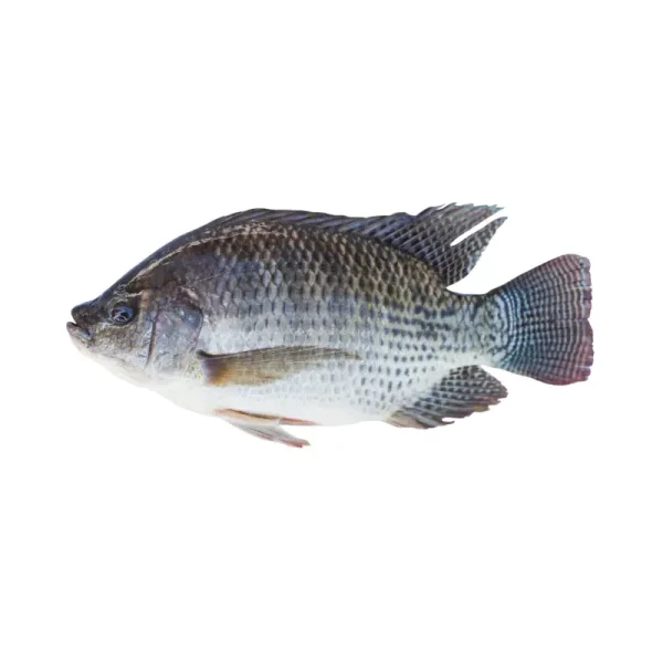 Thilapiya